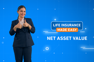 Net Asset Value